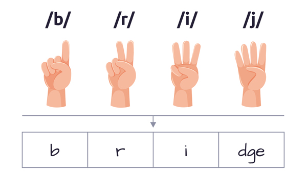 Spelling Assessment K-1 | Synthetic Phonics | LLLL | Exclusive Digital Analysis